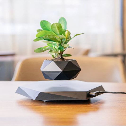 Levitating Magnetic Floating Bonsai Pot - No Plant♡